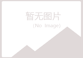 阳春字迹音乐有限公司